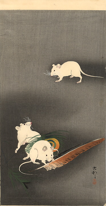 three-white-mice-1900